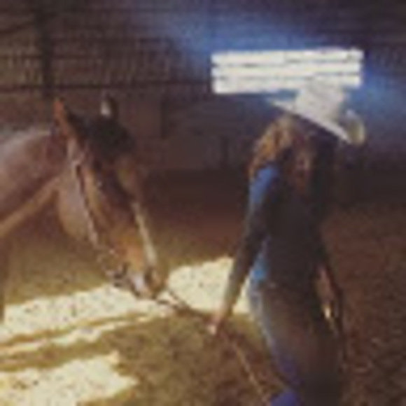 Meet your Posher, Charlotte - Picture 1 of 1